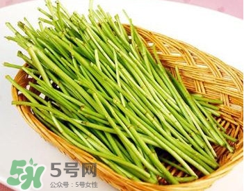蘆蒿與茼蒿有什么區別？蘆蒿和茼蒿的區別