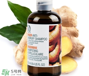 美體小鋪生姜洗發(fā)水怎么樣？the body shop生姜洗發(fā)水使用心得