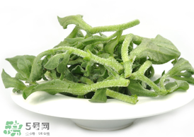 ?冰草為什么會酸？冰草為什么是酸的？