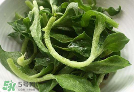 冰菜為什么會酸？冰菜為什么是咸的？