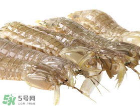 蝦爬子什么季節(jié)最肥？蝦爬子幾月份最肥？