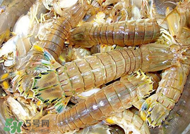 蝦爬子能冷凍嗎？蝦爬子可以冷藏嗎？
