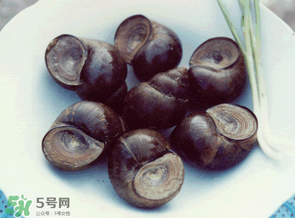 田螺不能和什么一起吃？田螺和什么不能一起吃？