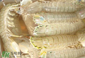 蝦爬子綠色怎么回事？蝦爬子變黑還能吃嗎？