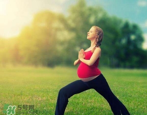 孕婦能吃雞精嗎？孕婦能吃雞精和味精嗎？