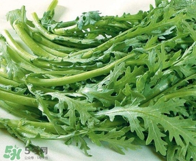 蘆蒿與茼蒿有什么區別？蘆蒿和茼蒿的區別