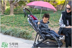 Bugaboo bee5和bee3的區別 Bugaboo bee5的升級介紹