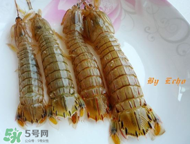 蝦爬子能放多久？蝦爬子怎么保存時間長？