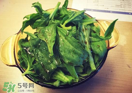 吃冰菜有什么好處？冰菜吃了有什么好處？
