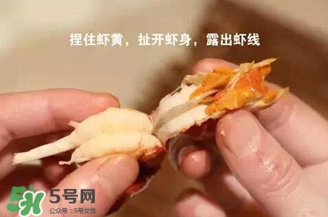 蝦子怎么吃？蝦子的吃法