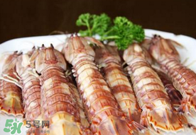 蝦爬子是寒性的嗎？蝦爬子是熱性的還是寒性的？