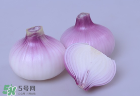 洋蔥和皮皮蝦能一起吃嗎？皮皮蝦和洋蔥可以同吃嗎？