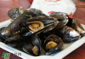 淡菜什么時候最肥？淡菜什么時候吃最好？