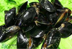 哪些人不適合吃淡菜？淡菜什么人不能吃？