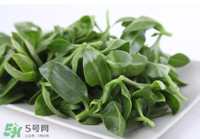 冰菜和穿心蓮是同一種菜嗎？冰菜和穿心蓮是一科嗎？