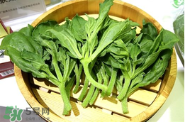 冰菜孕婦能吃嗎？孕婦能不能吃冰菜？