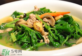 冰菜孕婦能吃嗎？孕婦能不能吃冰菜？