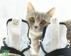 nike lebron 14怎么樣？耐克lebron 14測評