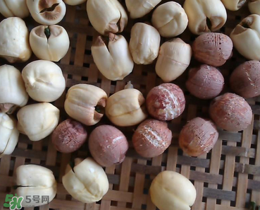 芡實不能和什么一起吃？芡實不能與什么同食？