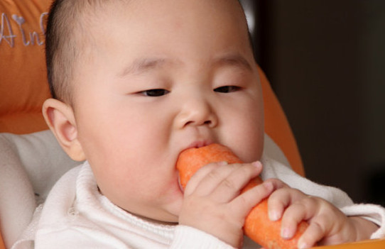 胡蘿卜與什么不能同食？胡蘿卜不能和什么一起吃
