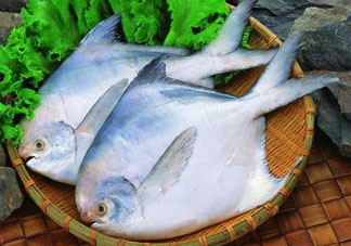 蠶豆和魚能一起吃嗎？蠶豆和魚吃相克嗎？