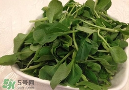 雞毛菜怎么做？雞毛菜的做法