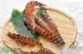 蝦爬子怎么扒皮？蝦爬子怎么剝殼？
