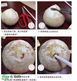 椰子怎么打開？椰子殼怎樣打開