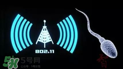 wifi殺精嗎？wifi殺精是真的嗎？