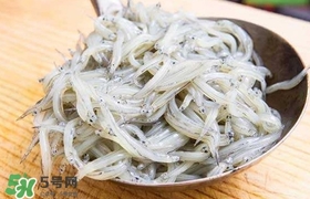 銀魚是面條魚嗎？面條魚和銀魚的區別