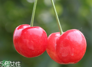 櫻桃籽有毒嗎？櫻桃籽能吃嗎？