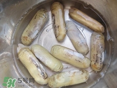 怎么樣讓蟶子吐沙？如何讓蟶子吐沙