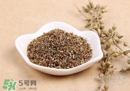 吃中藥可以吃魚？吃中藥吃魚會怎么樣？
