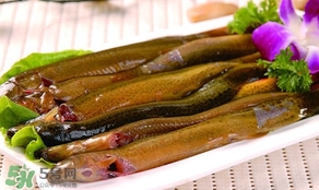 泥鰍是發物嗎？泥鰍是不是發物