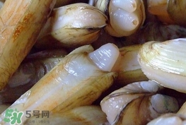 蟶子是海鮮嗎？蟶子是海鮮還是河鮮