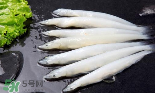 面條魚有刺嗎？面條魚有鱗嗎