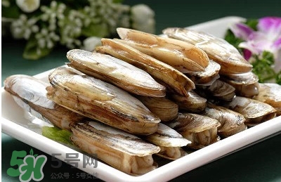 蟶子是海鮮嗎？蟶子是海鮮還是河鮮