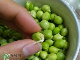新鮮豌豆發芽了能吃嗎？豌豆發芽了還能吃嗎？