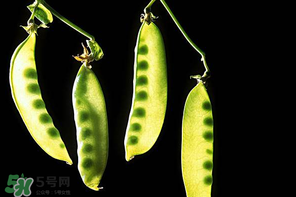 嫩豌豆能生吃嗎？為什么嫩豌豆可以生吃？