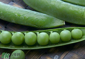 剝好的豌豆怎么保存？剝好的豌豆米怎么保存？