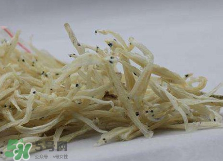 面條魚有什么營養？面條魚營養價值