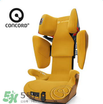 concord中文是什么？concord的中文名字怎么翻譯？