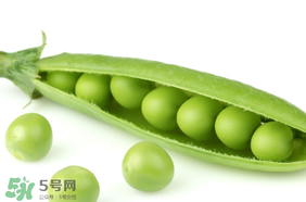 生豌豆有毒嗎？豌豆生吃有毒嗎？