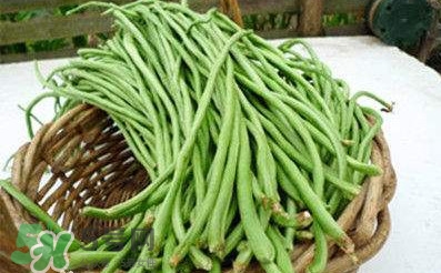 缸豆是豆角嗎？缸豆和豆角有什么區(qū)別
