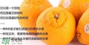 丑八怪是轉基因水果嗎？丑八怪是不是轉基因