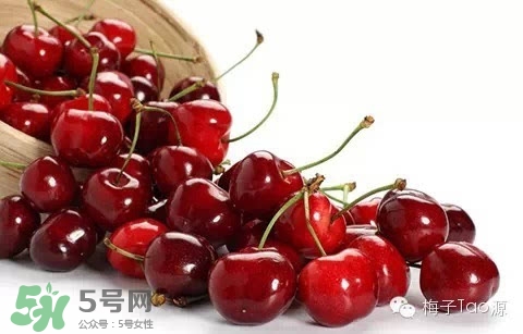 櫻桃和櫻珠的區別 櫻桃和櫻珠哪個大