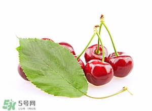 櫻桃和櫻珠的區別 櫻桃和櫻珠哪個大