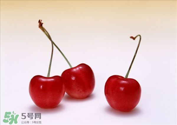 櫻桃和櫻珠的區別 櫻桃和櫻珠哪個大