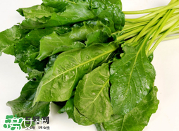 根達菜的營養價值 根達菜的功效與作用