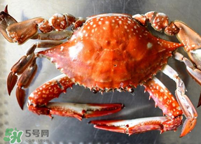 六月份有螃蟹嗎？六月份吃什么螃蟹？